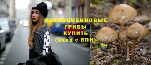 твердый Нягань