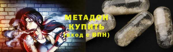 гидра Няндома