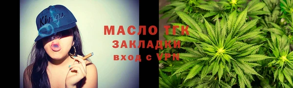 гидра Няндома