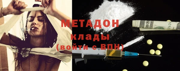 гидра Няндома