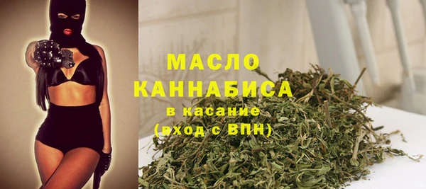 гидра Няндома