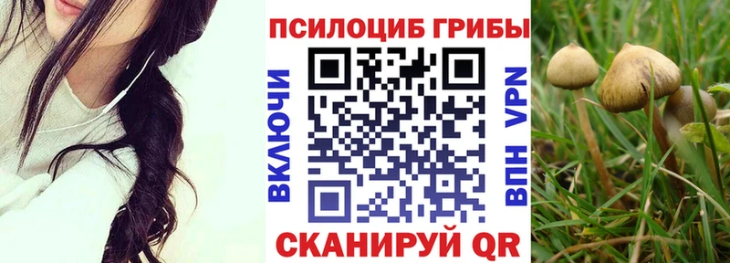 Псилоцибиновые грибы Psilocybe  Лабинск 