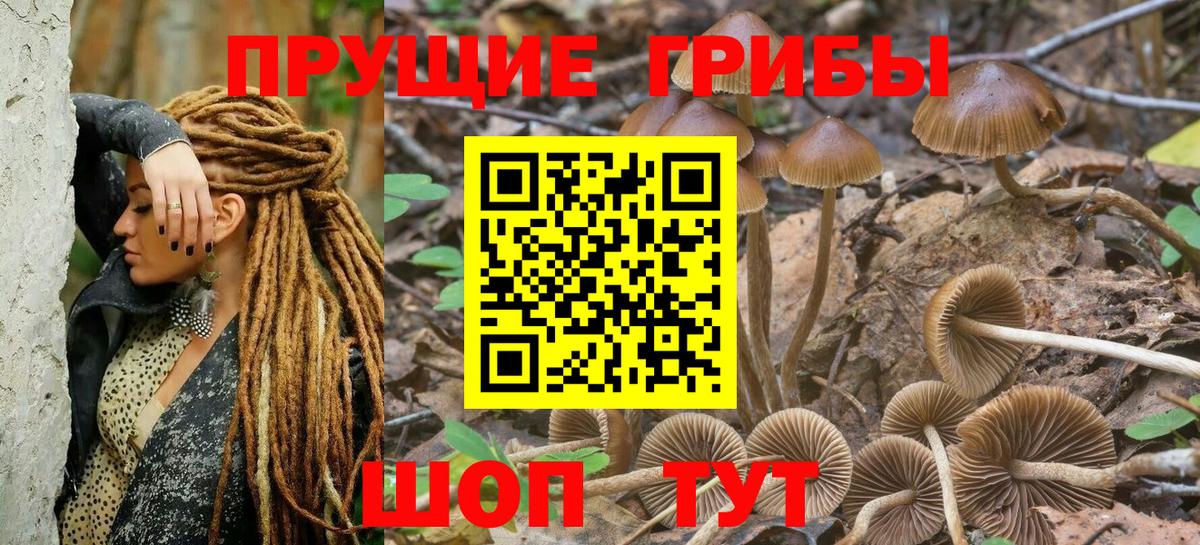 Галлюциногенные грибы мухоморы Лабинск