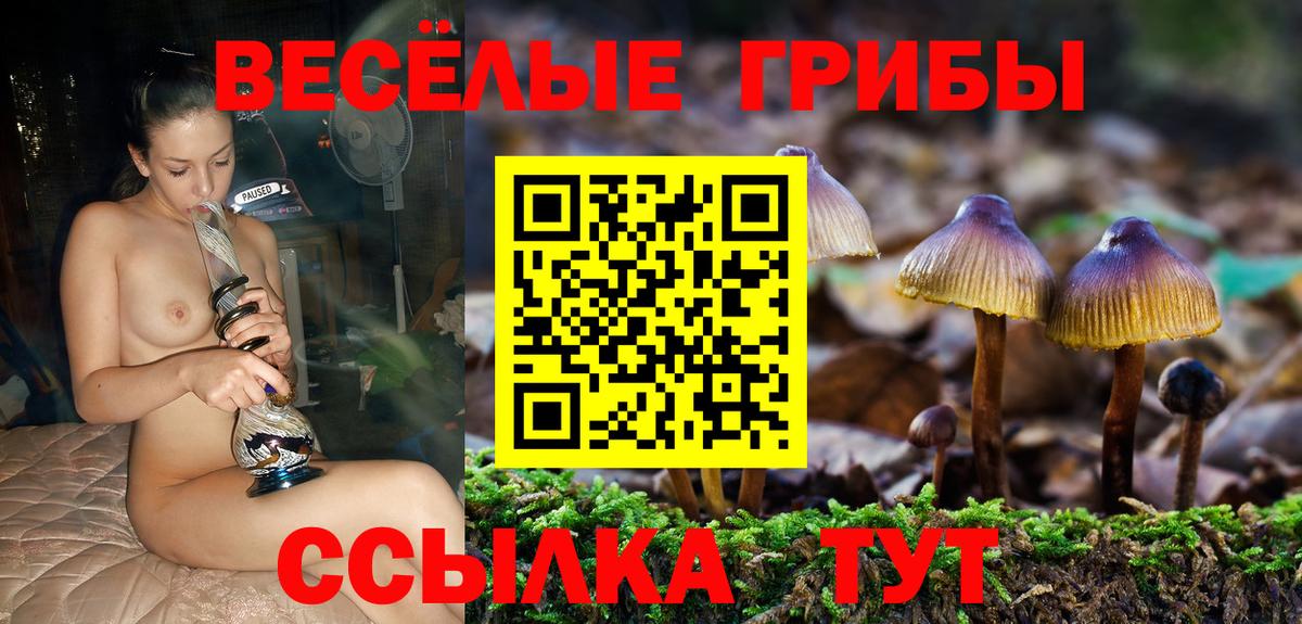 Лабинск  Псилоцибиновые грибы Magic Shrooms  Псилоцибиновые грибы GOLDEN TEACHER  Вход с VPN 