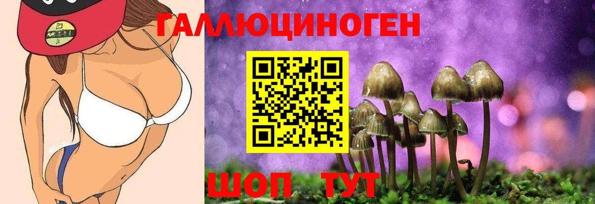 Псилоцибиновые грибы ЛСД Лабинск